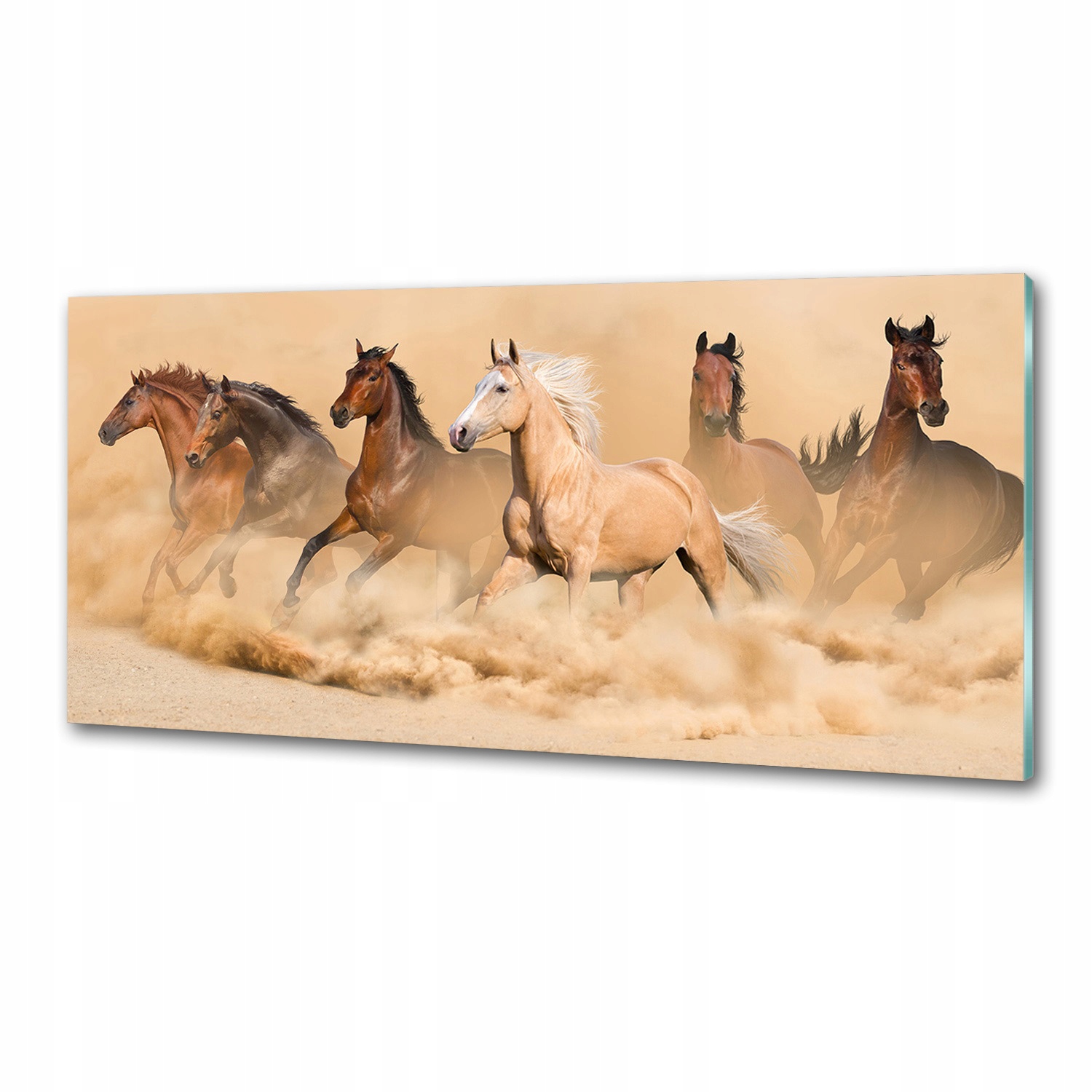 Panel do kuchyne Kone púšť 125x50 cm Lepidlo