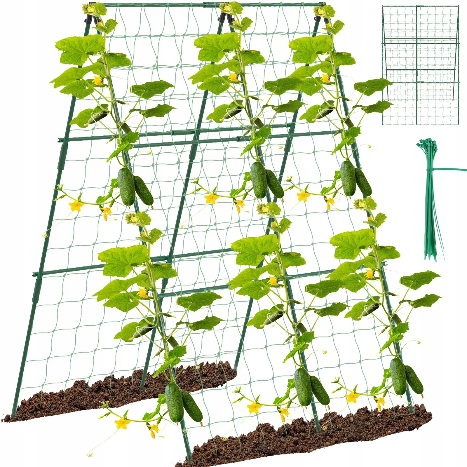 TYCZKI DO ROŚLIN OGÓRKÓW POMIDORÓW STELAŻ DO PNĄCYCH WARZYW PODPORA 120X80