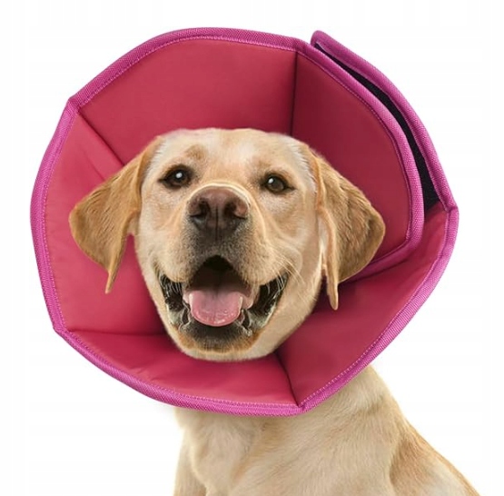 Levně Kónický obojek pro psa po operaci XL