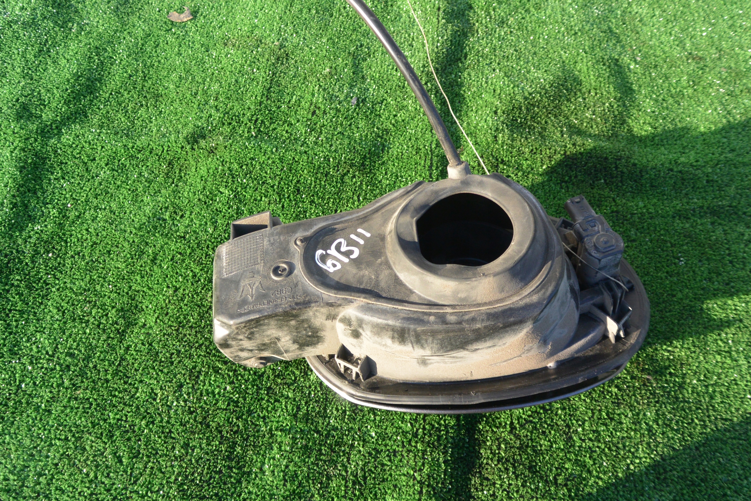 D2568faa4981a49c37754e21e98c