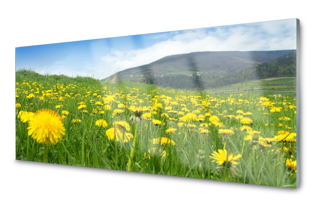 Sklenený panel do kuchyne Púpava 125x50