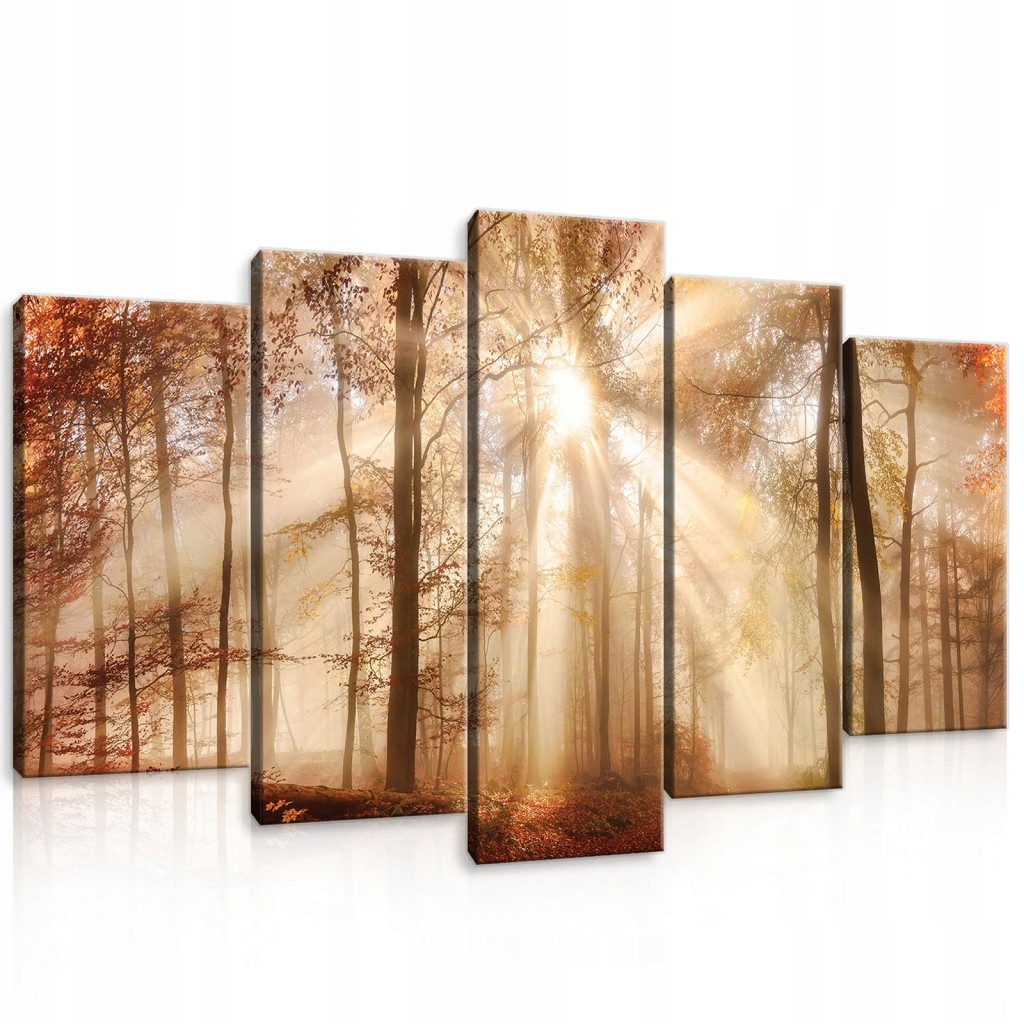 Obraz 100x60 Podzimní les mlha sluneční paprsky příroda klid harmonie