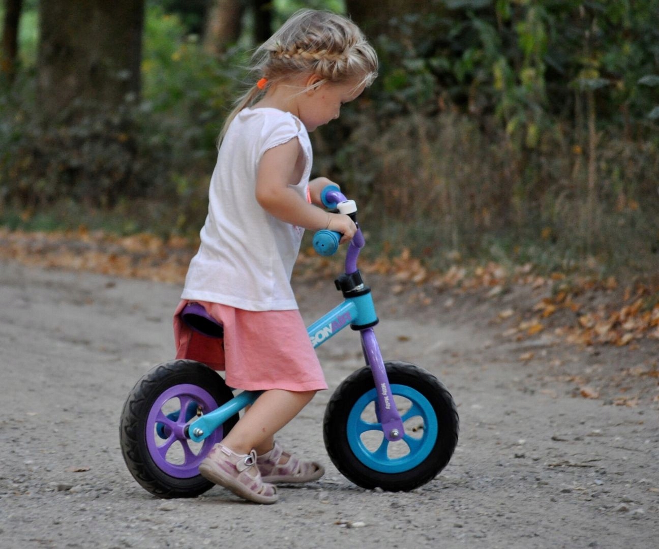 Rowerek Regulowany Biegowy Dragon Air Milly Mally Model 1632