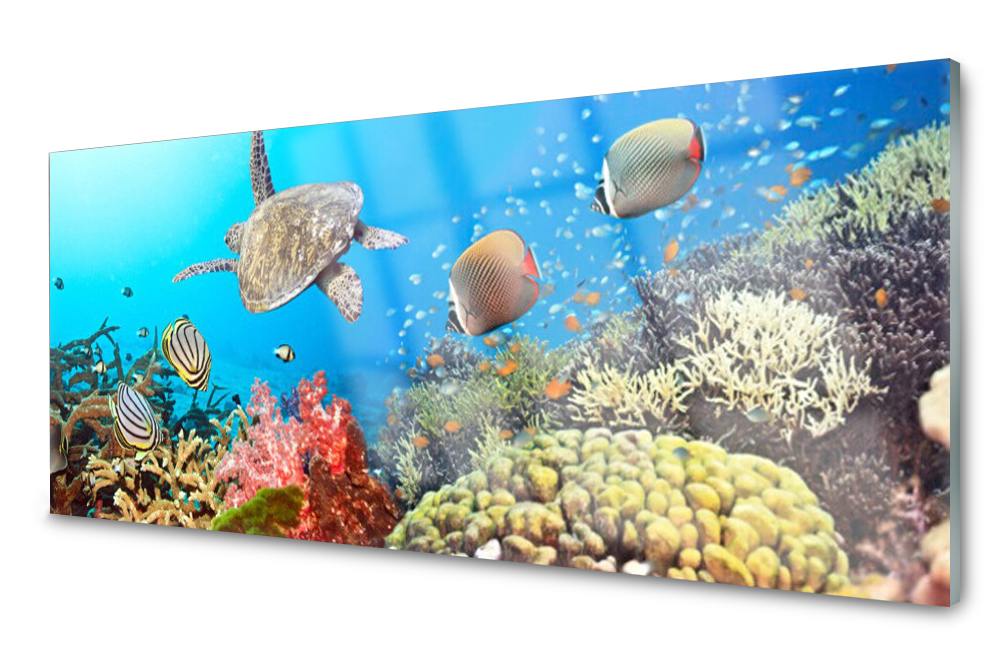 

Panel szklany do kuchni Rafa Koralowa 125x50