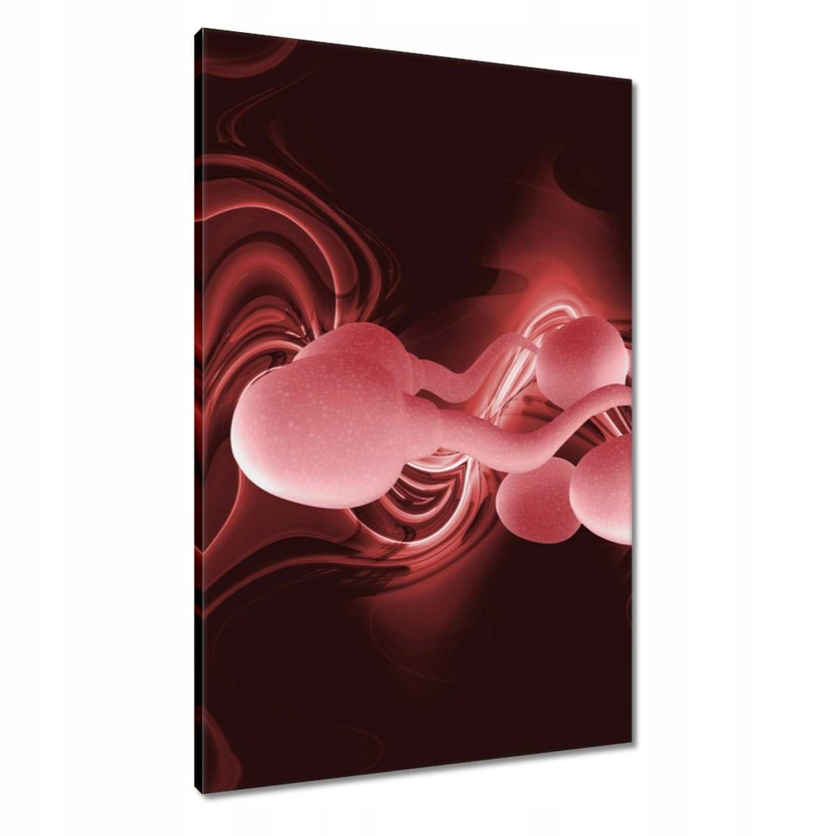 Obrazy 60x90 Kdo jsi?