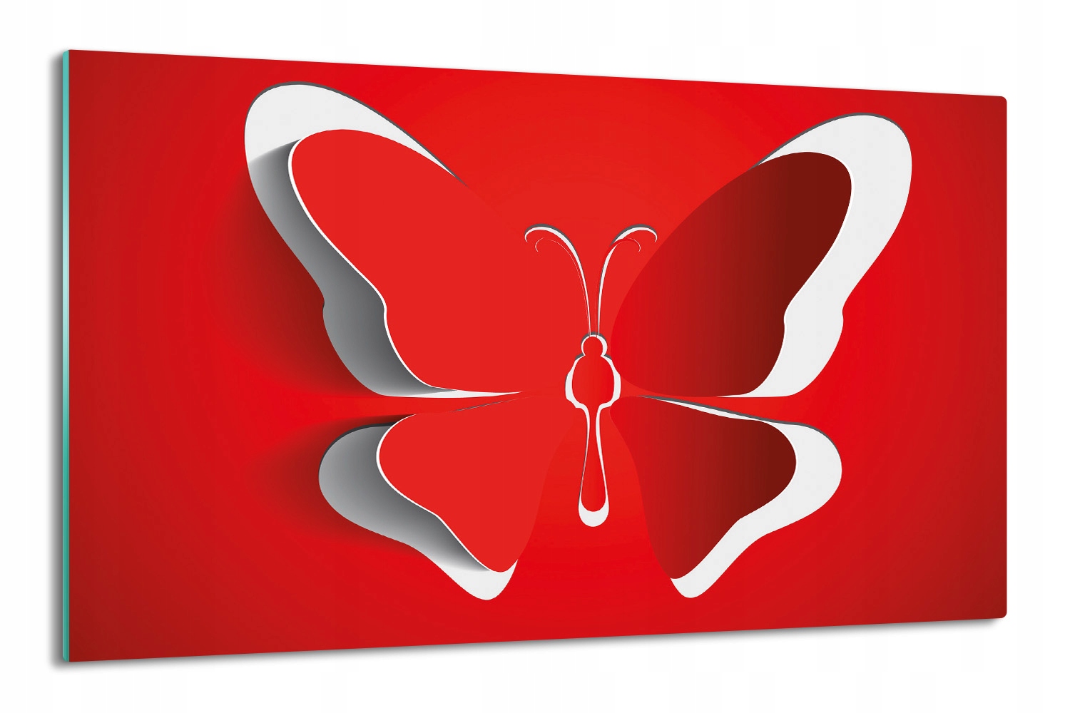 splashback deska 80x52 tisk Motýl hmyz grafika