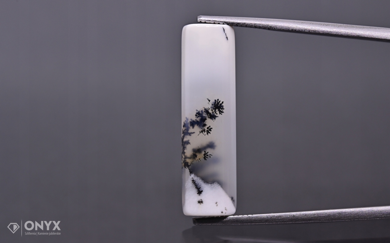 Dendritový achát z Turecka konvexní obdélníková deska