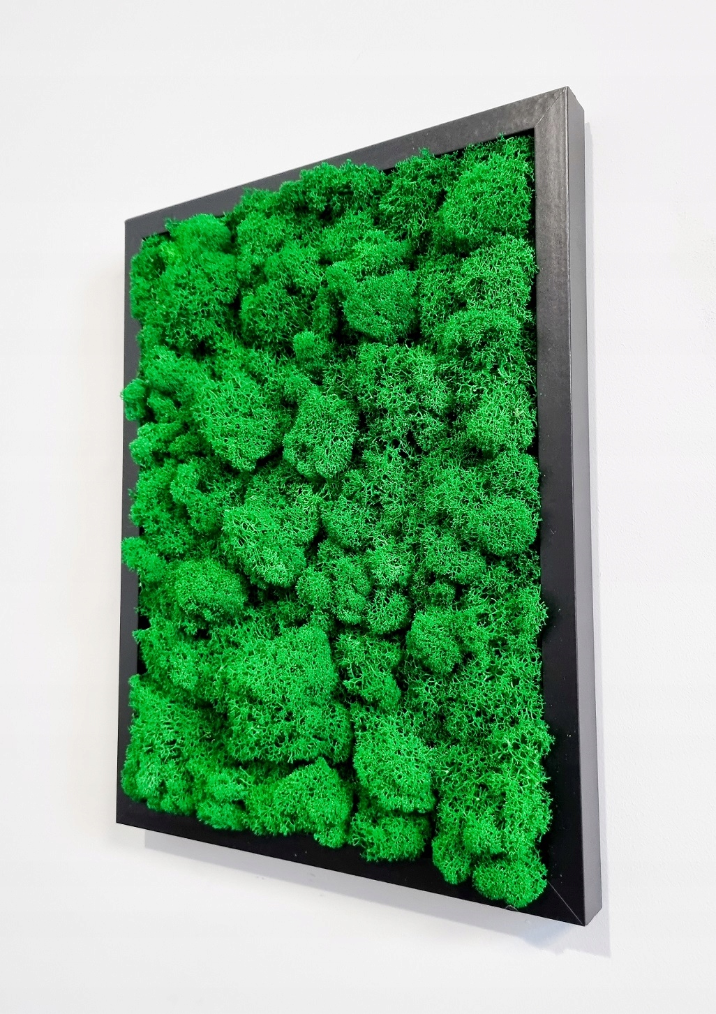 Panel obraz MECH CHROBOTEK 40 X 30 CM Marka Handmade