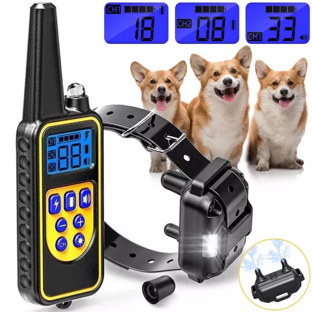 Elektrický Výcvikový Obojek Pro Psa 800 M, Dálkové Ovládání, 3 Režimy, Vibrace, Otřes