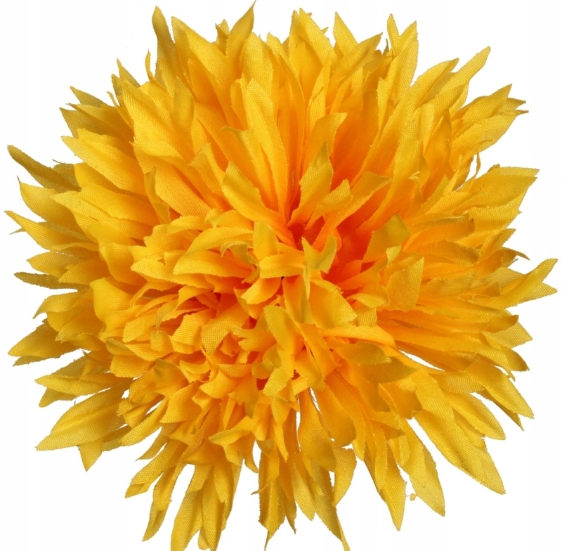 

Chryzantema Główka Asterkowa Żółta 13 cm