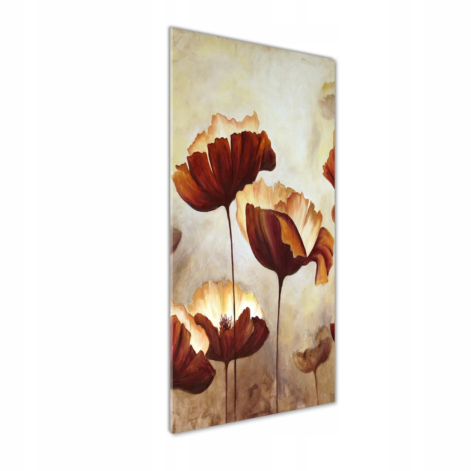 

Foto obraz szkło hartowane Polne maki 50x125 cm