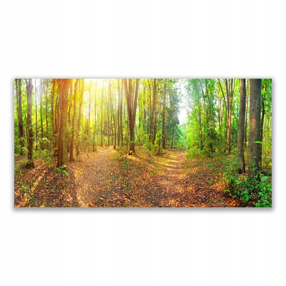

Fotoobraz akryl 120x60 Słońce Natura Ścieżka Leśna
