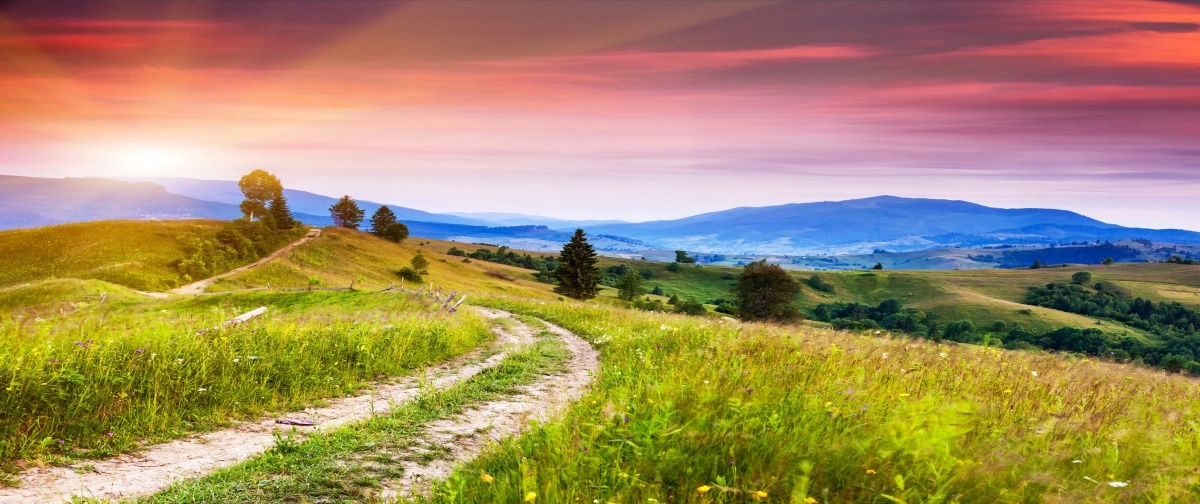 

Tapeta Flizelinowa Kwieciste wzgórza - 250x104
