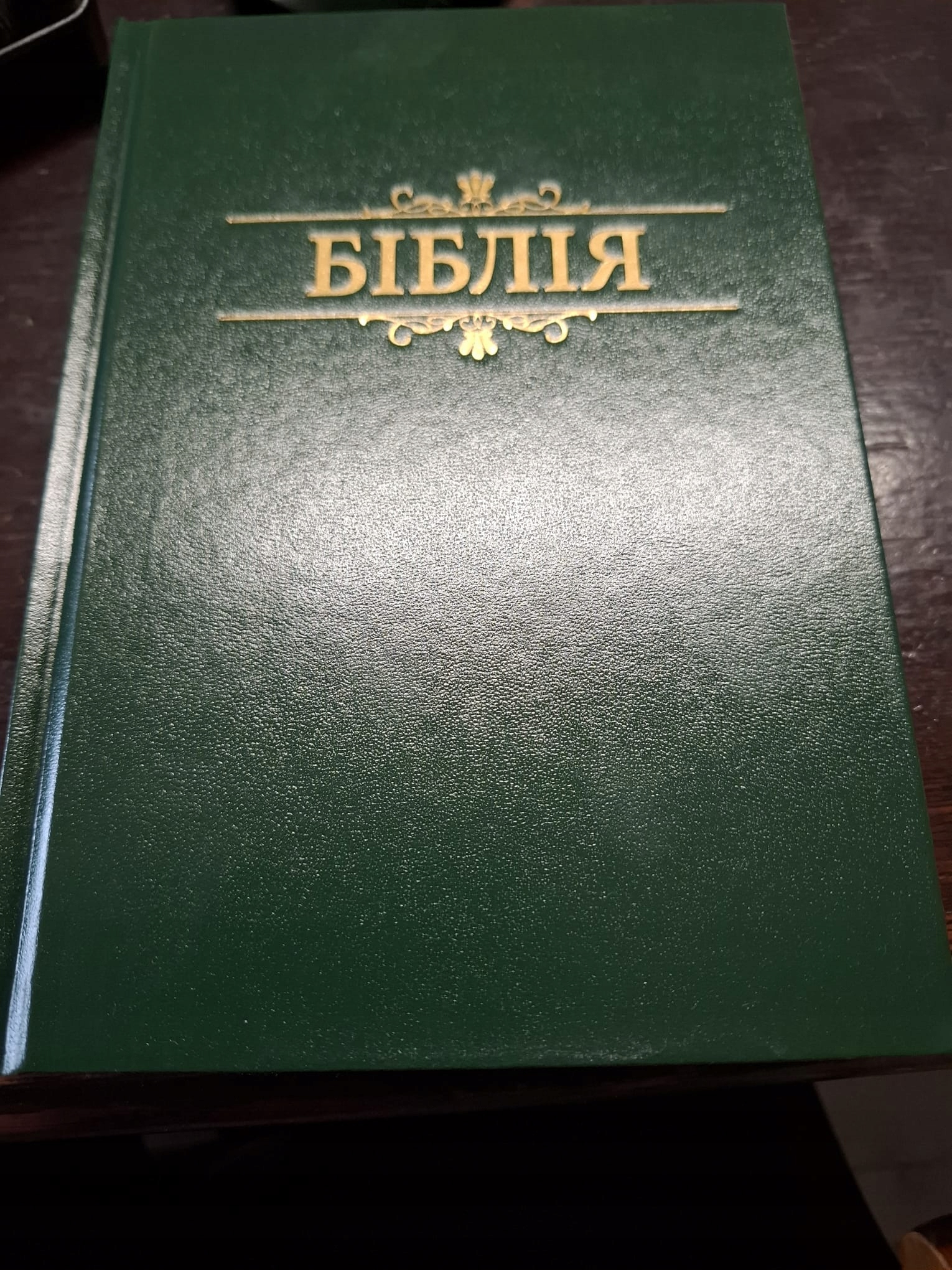 Biblia Ukraińska Nowa