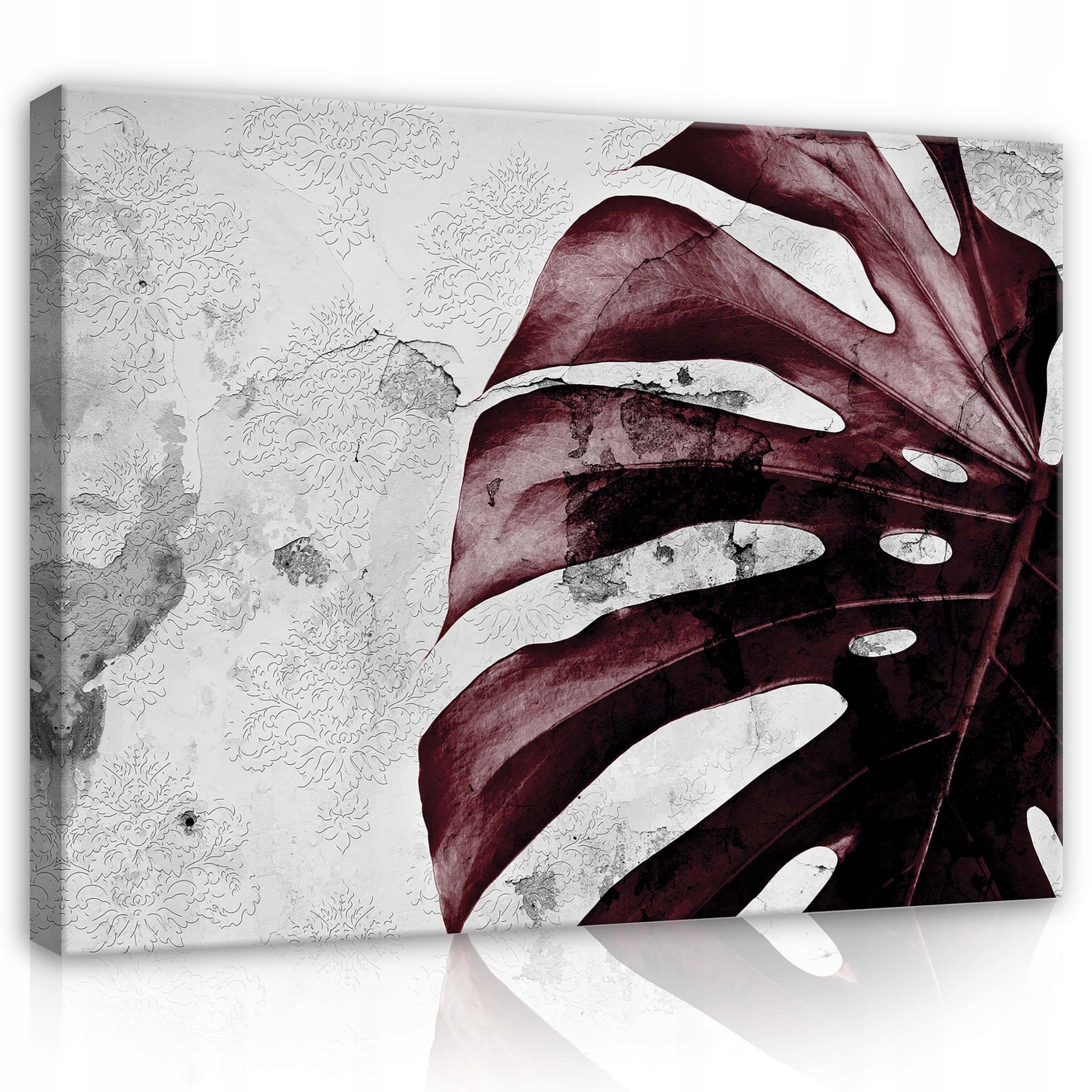 Obraz 80x60 Monstera list bordó vintage textura abstrakce botanika