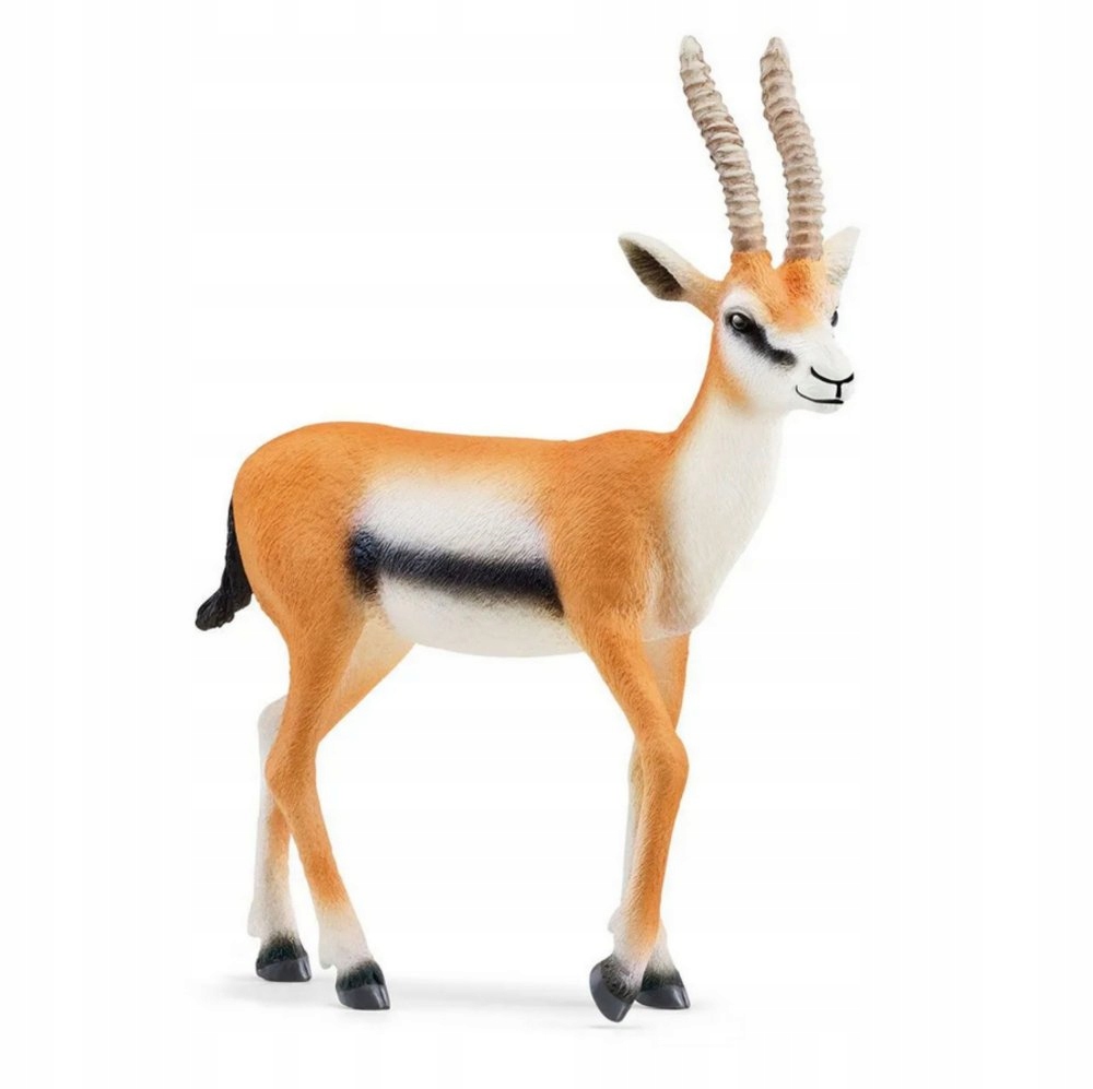 

Schleich Figurka Gazela Thomsona Wild Life 14861