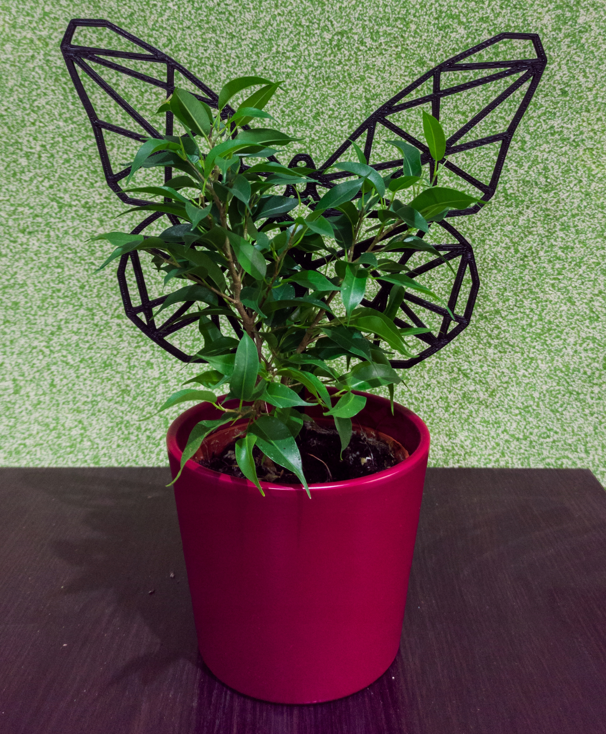 PODPÓRKA KWIATÓW ROŚLIN DRABINKA PERGOLA MOTYL Rodzaj drabinka