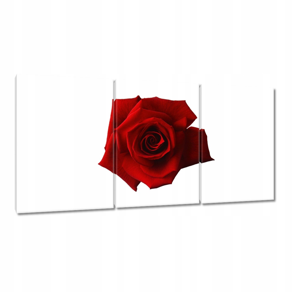 

Obrazy 120x60 Dzień Kobiet Prezent Love