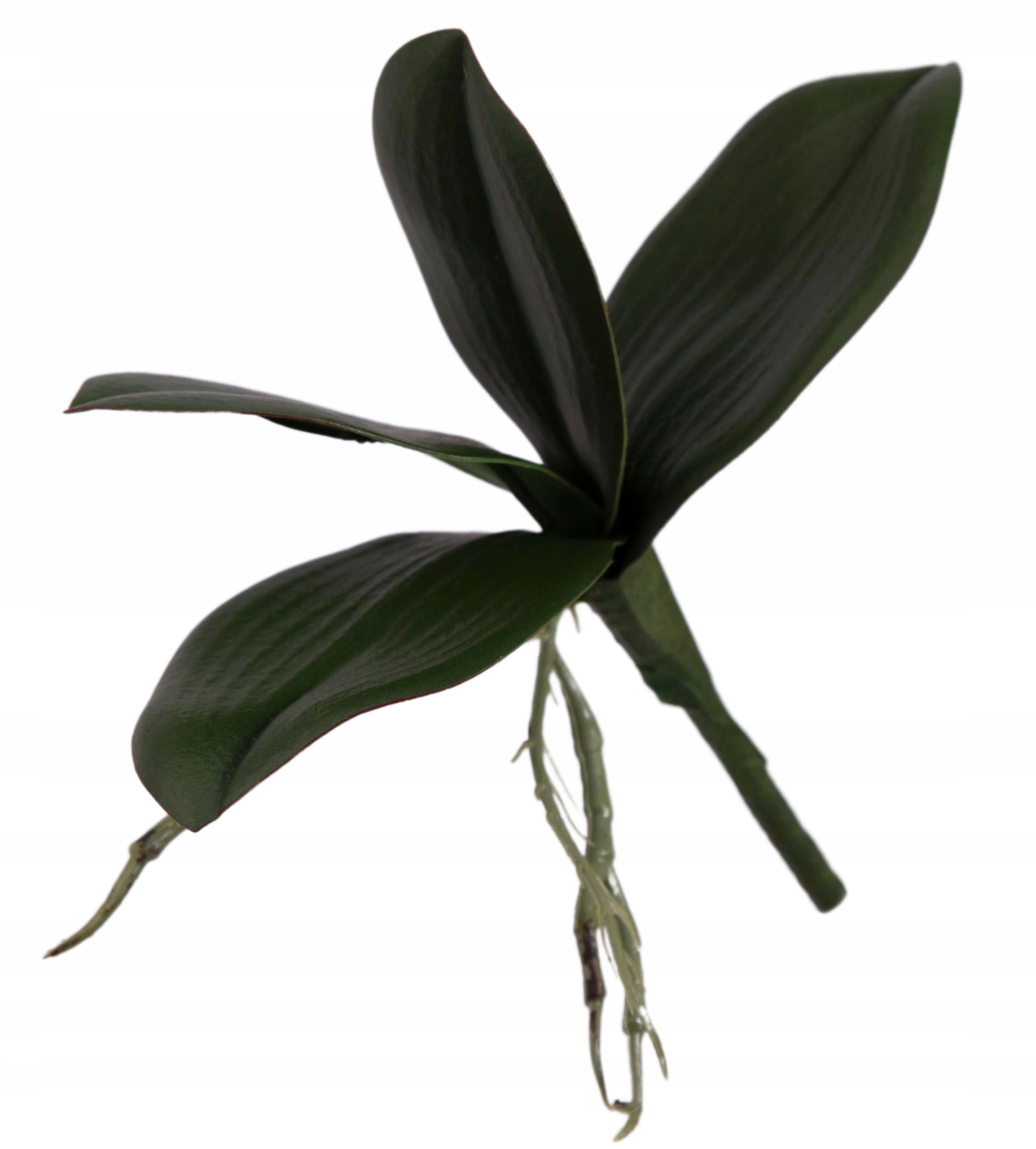 LIŚĆ STORCZYKA LIŚCIE SZTUCZNE Marka inna