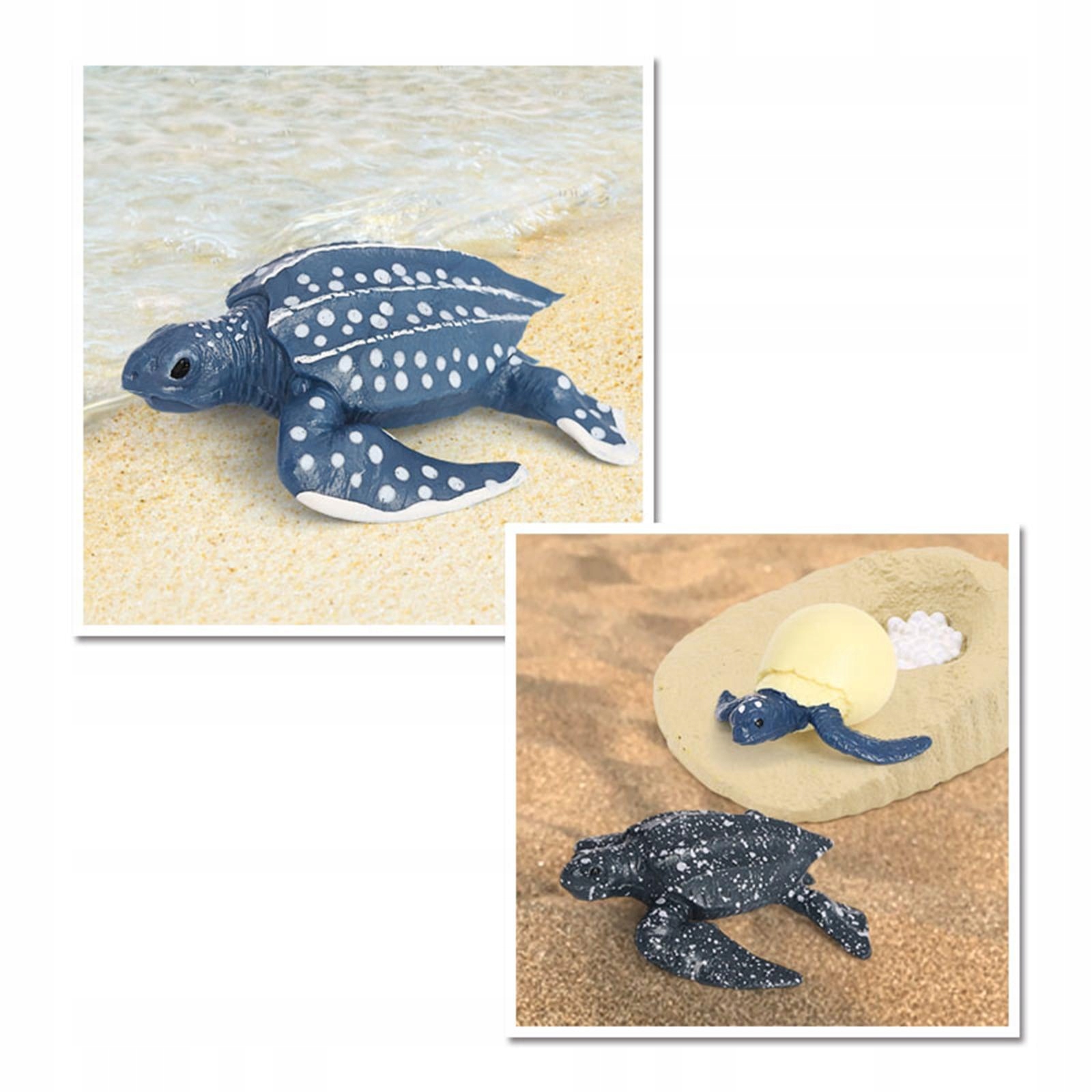 Simulation Animals Growth Cycle Leatherback Turtle Materiał drewno