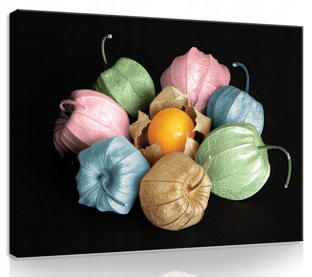 Obraz Na Plátně Canvas 80x60 Mochyně Physalis