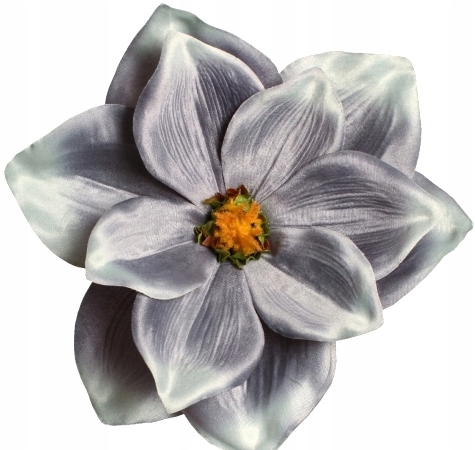 

Magnolia Główka Wyrobowa Szara