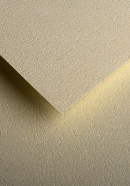 

Papier Ozdobny Wizytówkowy Kremowy Skóra 230g 20k