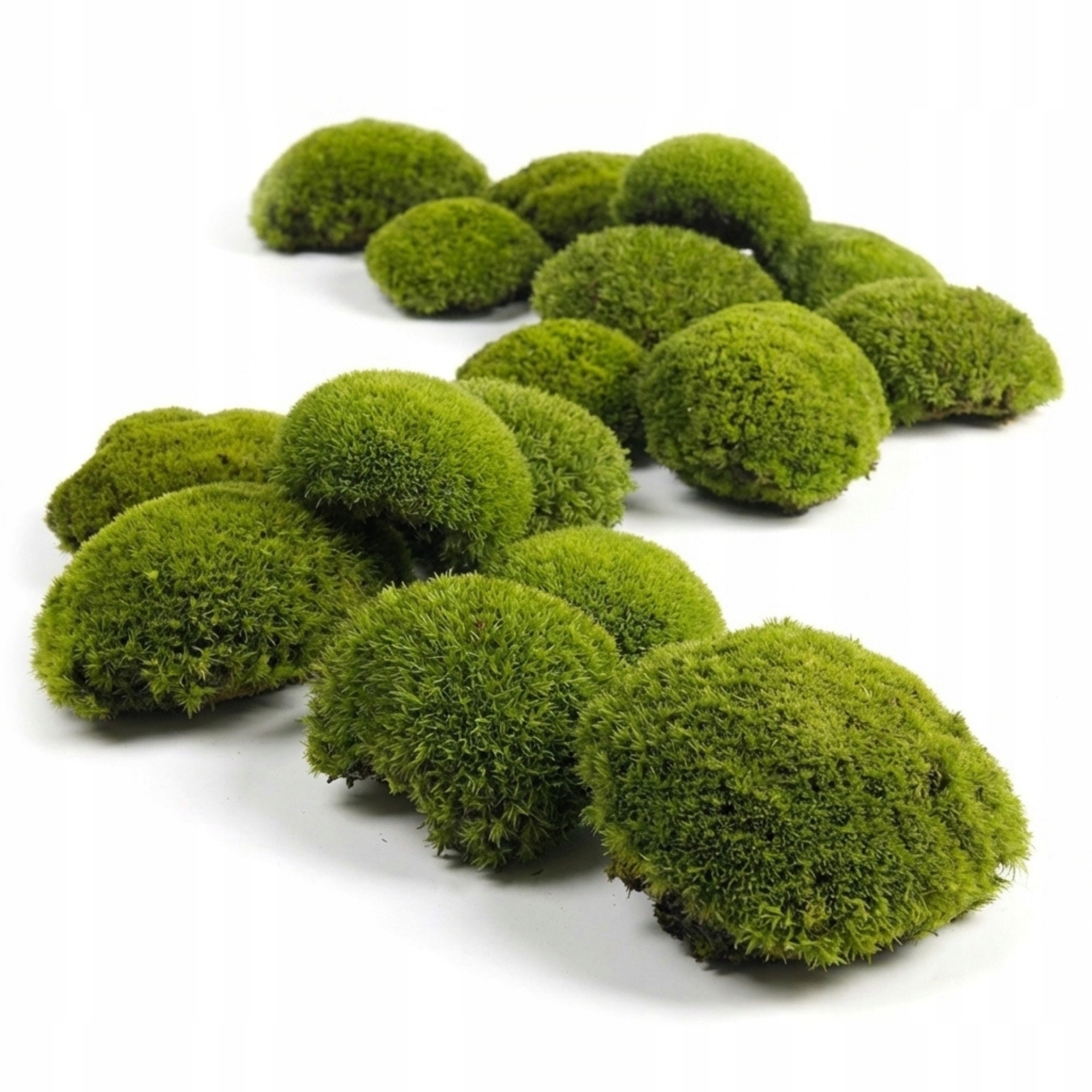 Polštářový mech švédský 130 g čistý světle zelený Dekorativní živý ozdobný