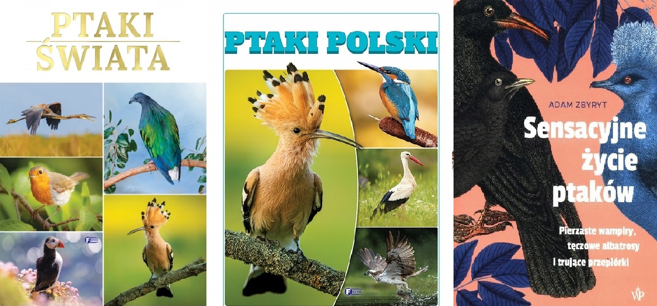 Ptaki świata + Ptaki Polski + Sensacyjne życie ptaków