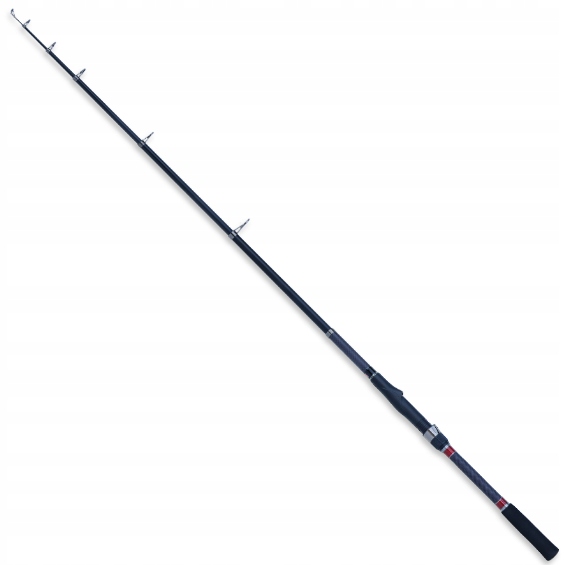 ROBINSON CARBONIC TELE SPIN 2,10M 10-30G