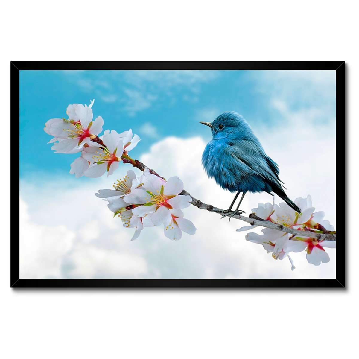 Plakáty v rámu 60x40 Ptáček na větvičce Jemné květiny pro ni