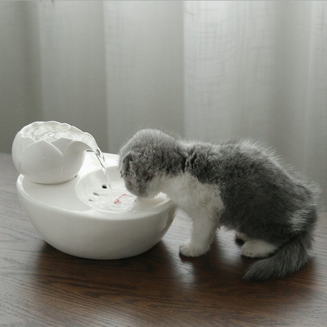 Levně Fontána pro zvířata Tichá, velká kapacita, automatický oběh,