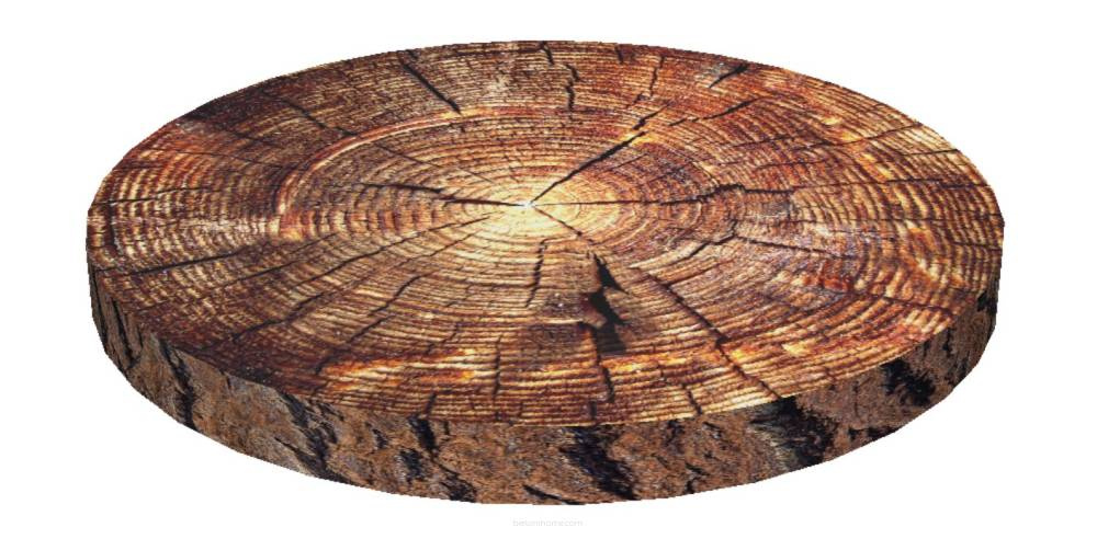 

Poducha Na Kszesło Ring Akacja 40x40 Bertoni