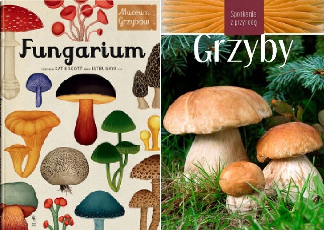 Fungarium Grzyby. Spotkania z przyrodą-Zdjęcie-0