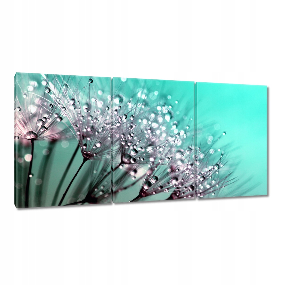 

Obrazy 120x60 Krople rosy Dmuchawiec