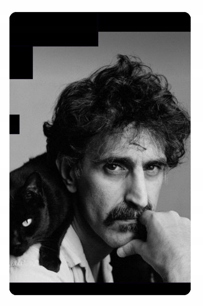 

Magnes na lodówkę Frank Zappa i kot