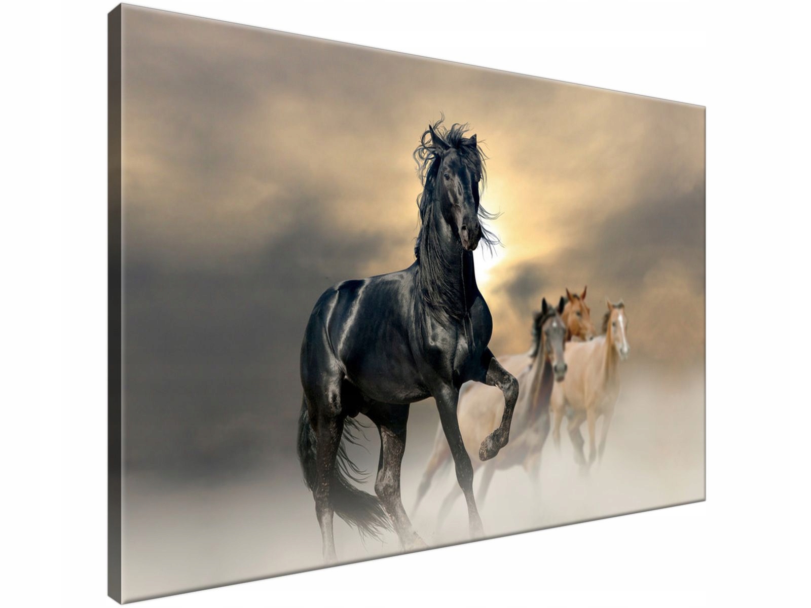 

Obraz drukowany Ogier 90x60 canvas