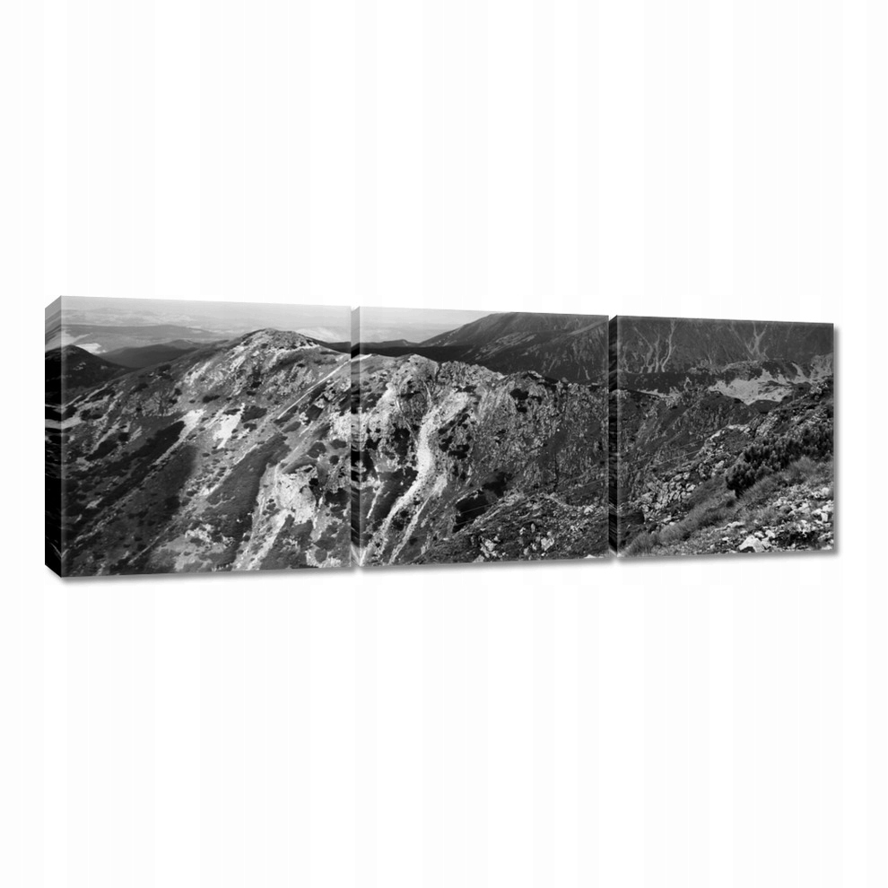 

Obrazy 60x20 Tatry Polskie góry Widok