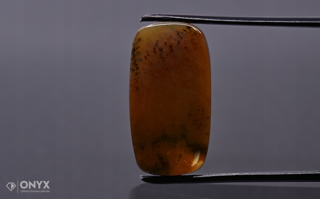 Dendrit achát z Kazachstánu mělký cushion 24,5x