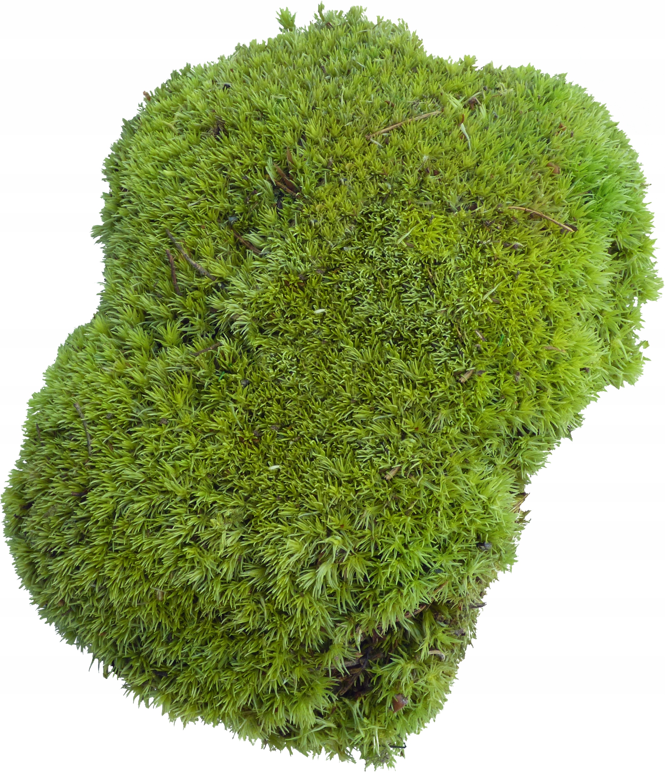 Mech Poduszkowy Jasnozielony PREMIUM Kępka sztuka