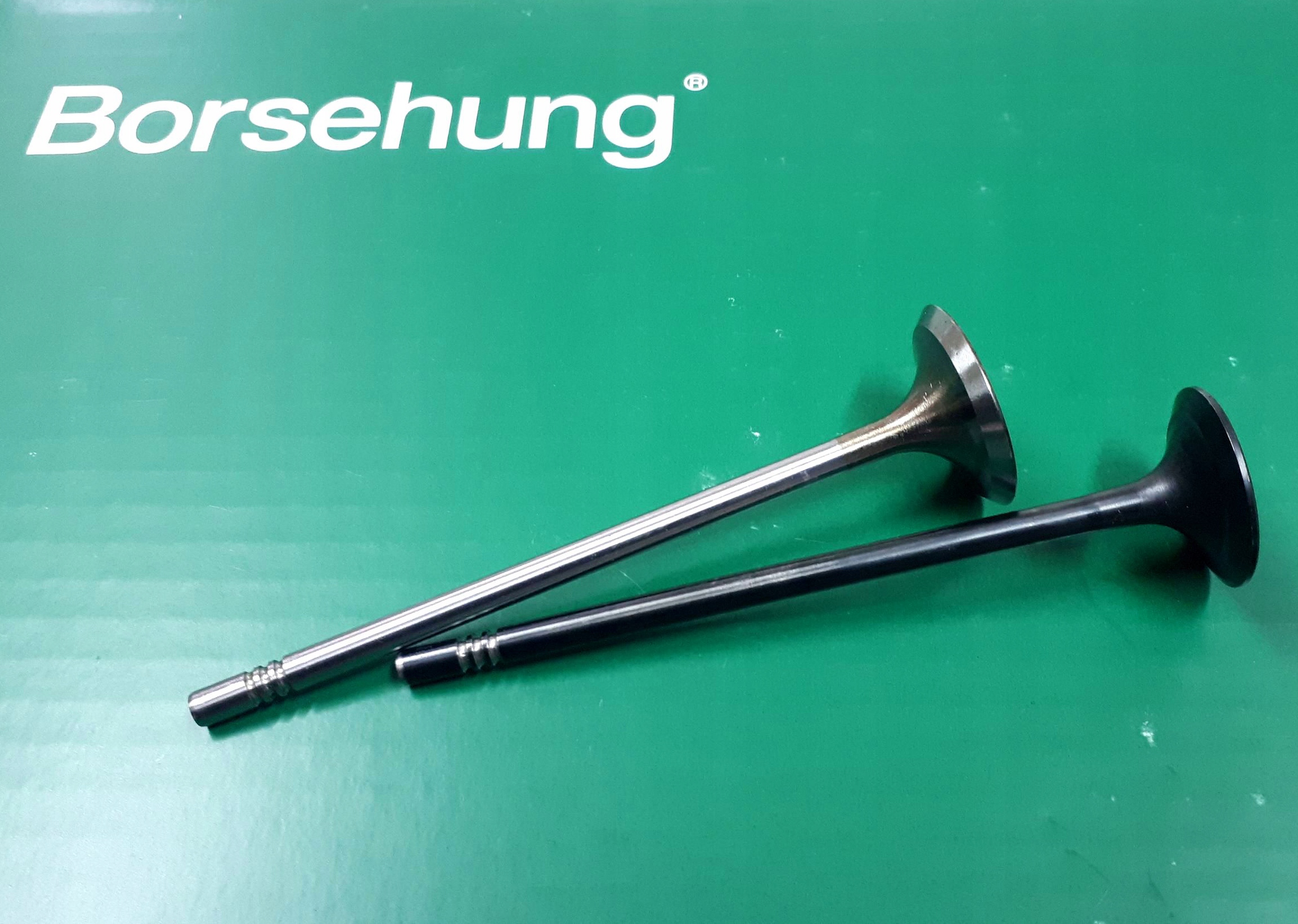 ZAWORY SSACE WYDECHOWE ORG KPL 6 6 VAG B19160 Part number B19160