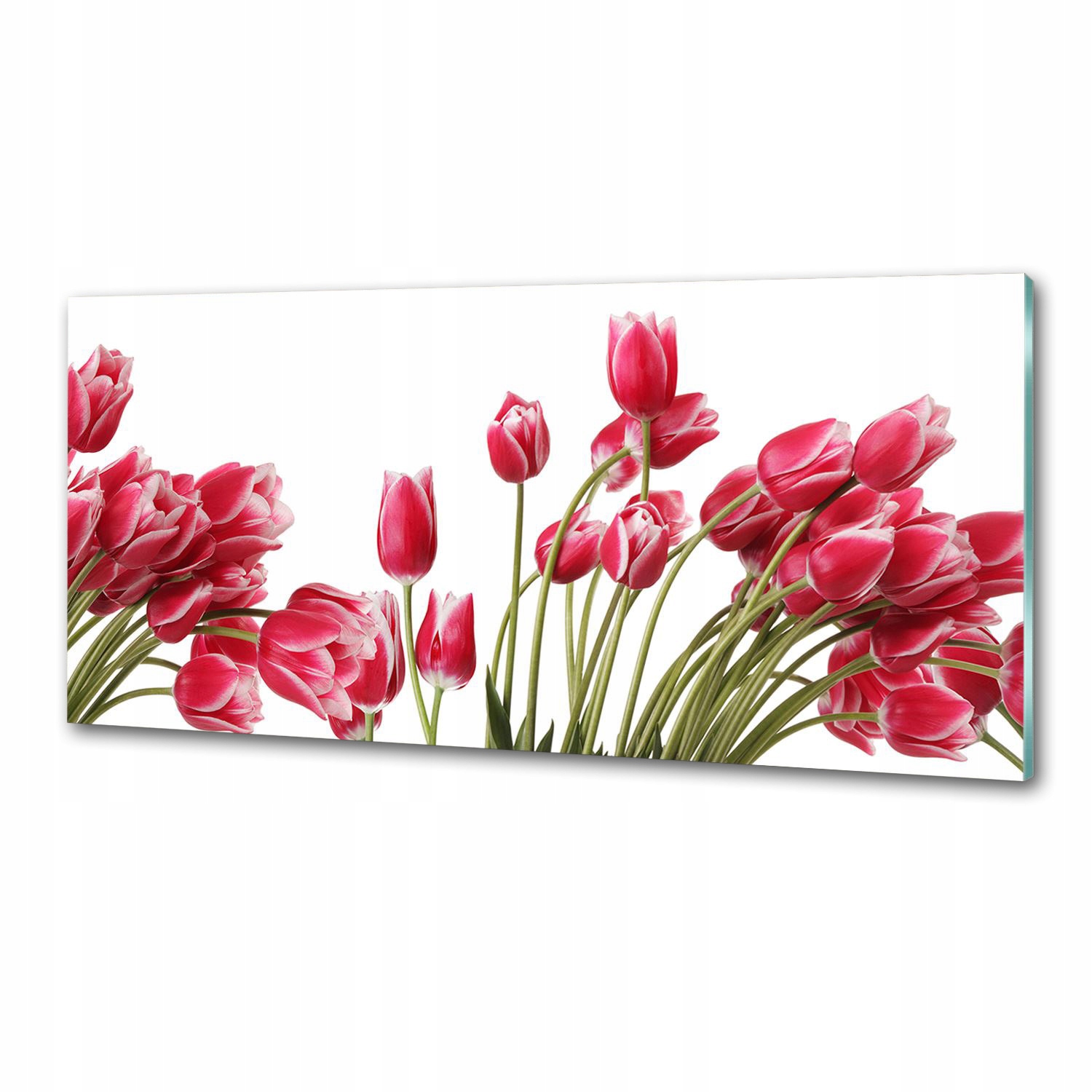 Panel do kuchyne Červené tulipány 125 x 50 cm Lepidlo