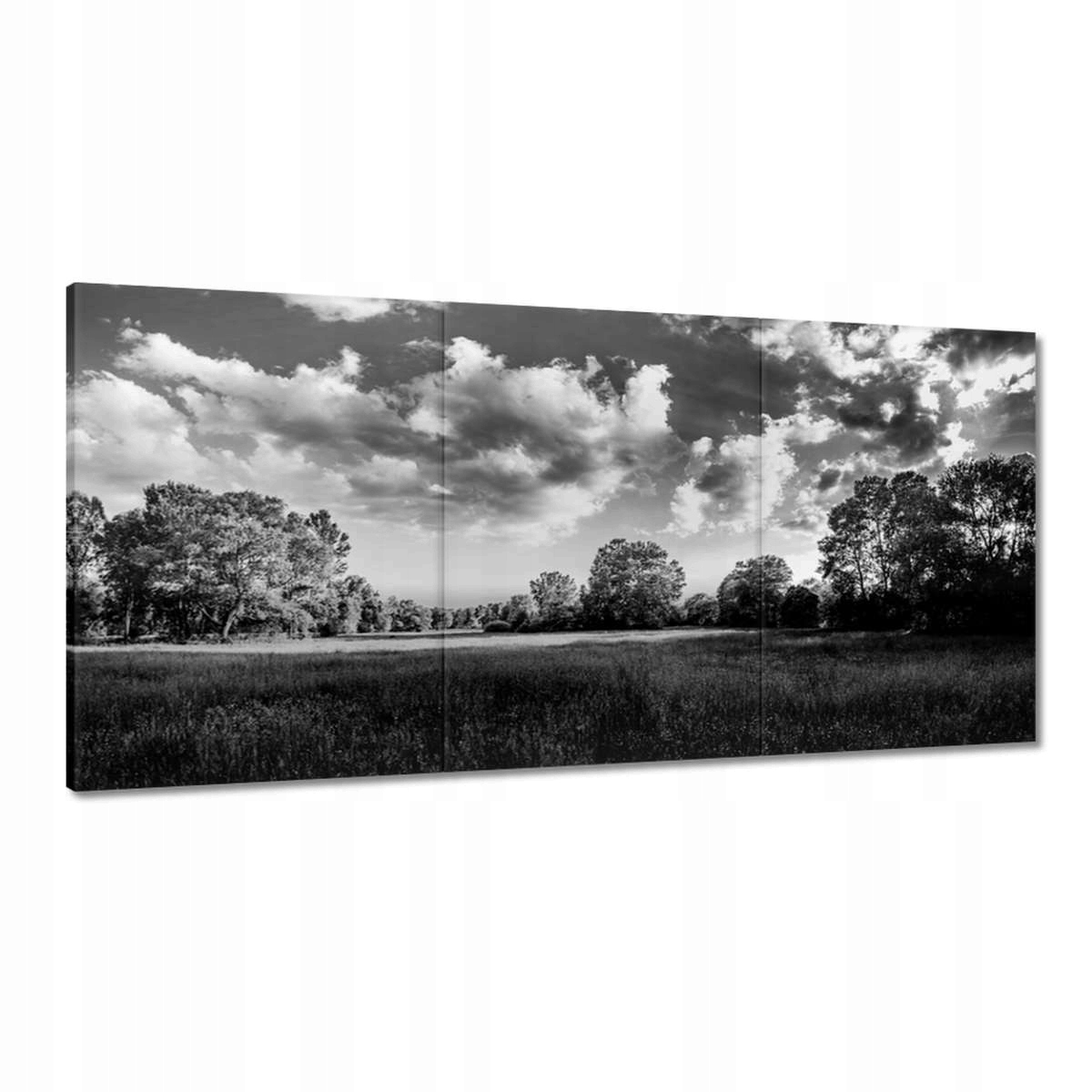Obrazy 180x90 Vidiecka krajina lúky