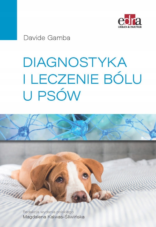 

Diagnostyka i leczenie bólu u psów