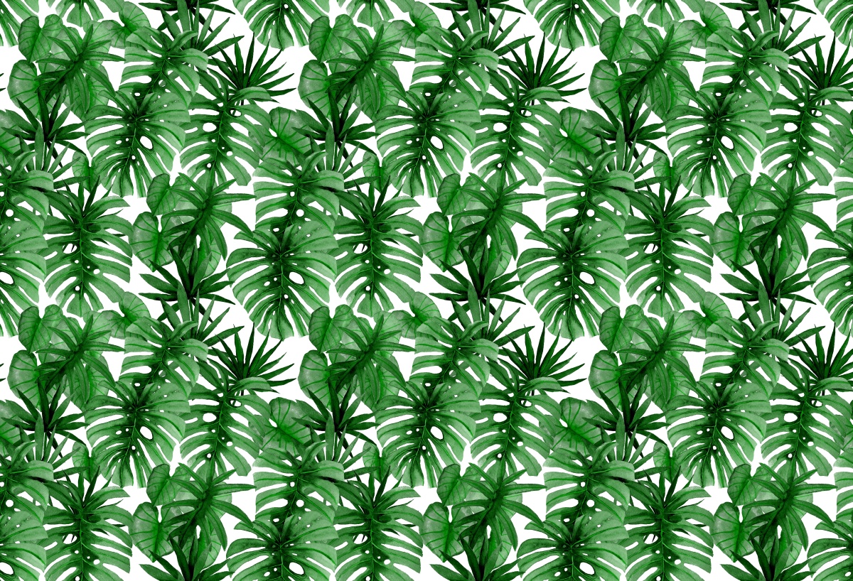 

Tapeta Flizelinowa Tropikalne liście - 104x70