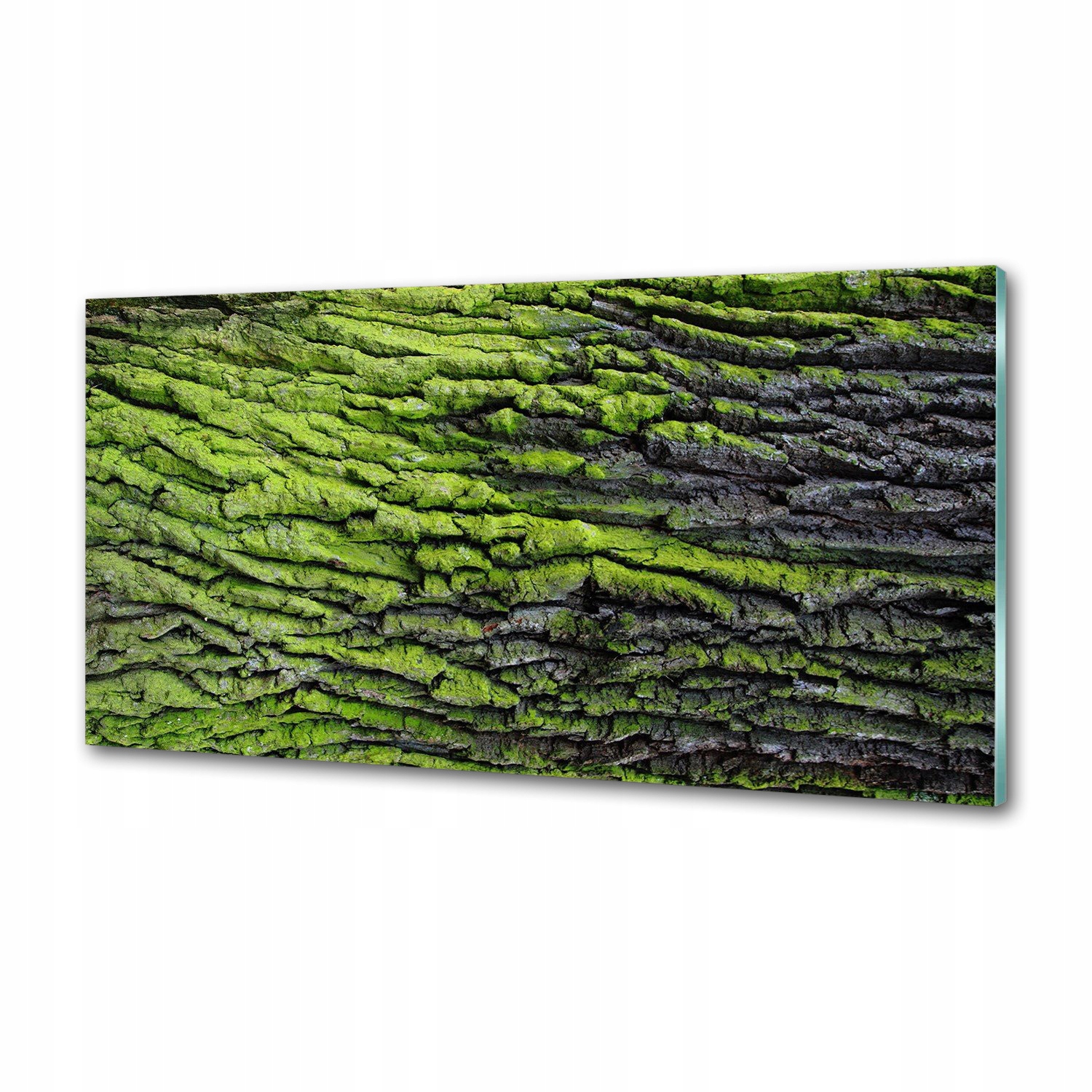 Panel dekor sklo Kôra stromu 120x60 cm Lepidlo