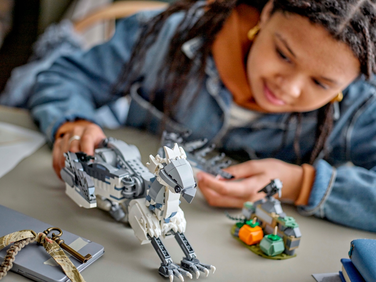 LEGO 76427 Hardodziob - Harry Potter Wiek dziecka 9 lat +