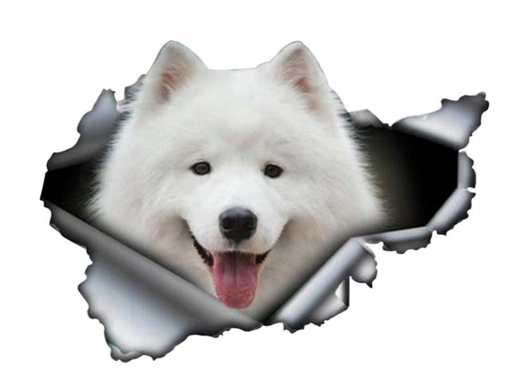 3D śliczny piesek samochód naklejki mops Samoyed j