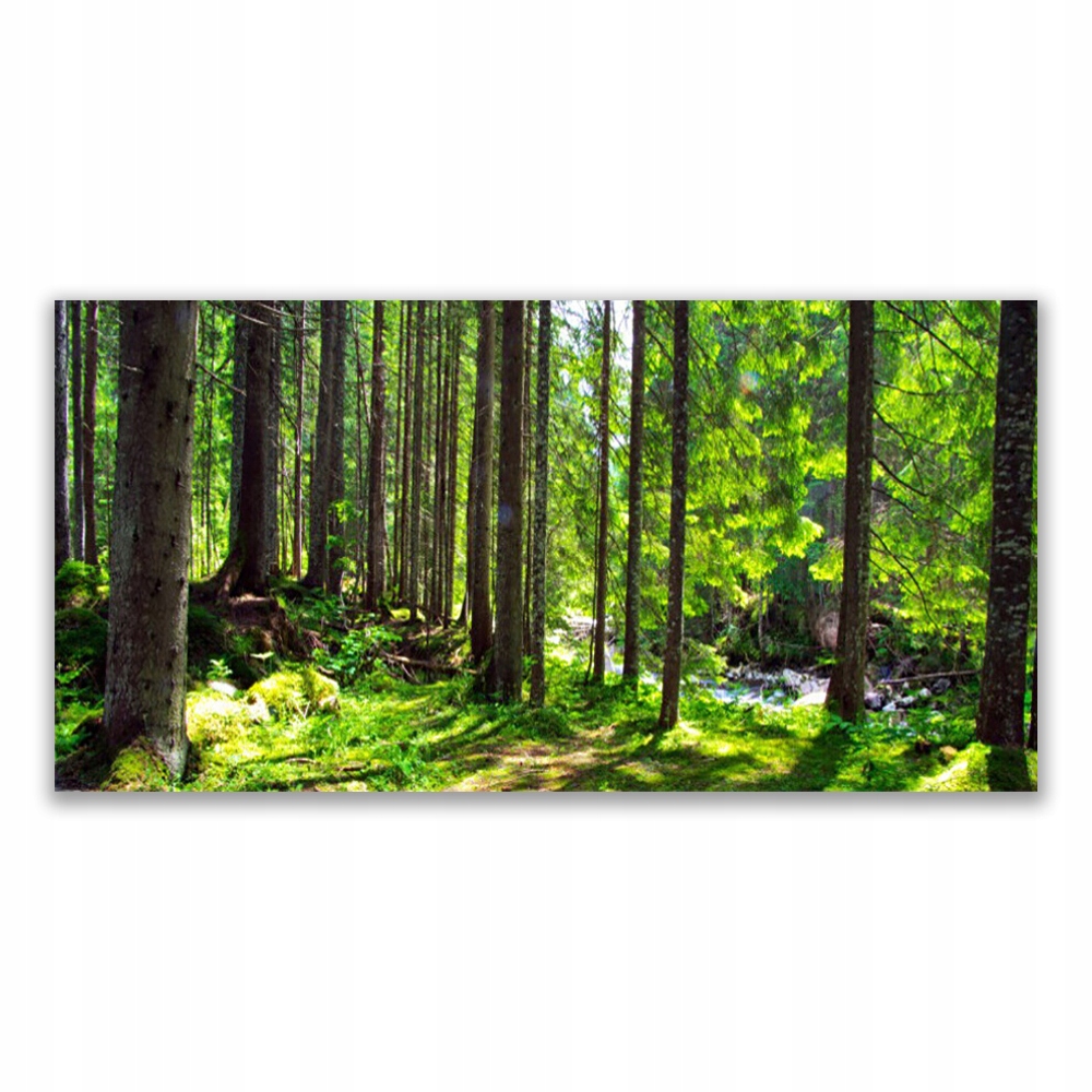 

Fotoobraz ścienny 140x70 Las Drzewa Roślina Natura