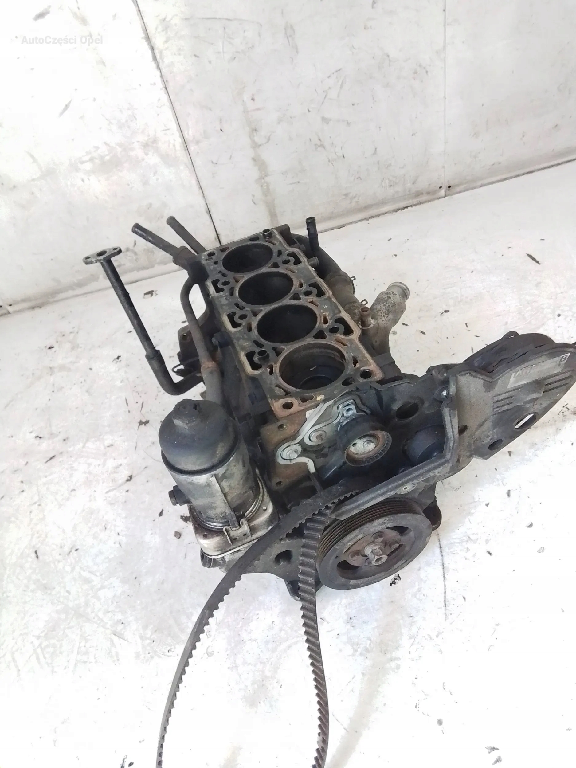 Opel Antara Captiva 2.0 Z20S1 BLOK SILNIKA WAŁ KORBA TŁOKI 96440108